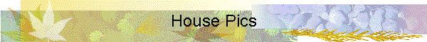House Pics