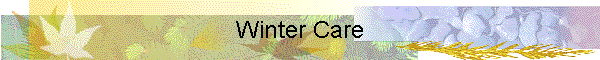 Winter Care