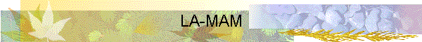 LA-MAM