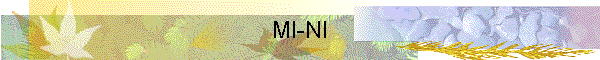 MI-NI