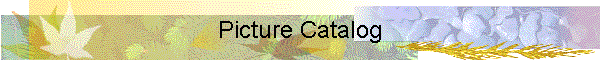 Picture Catalog